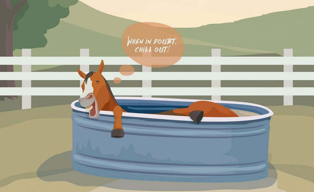 Heat-Stress-Horse