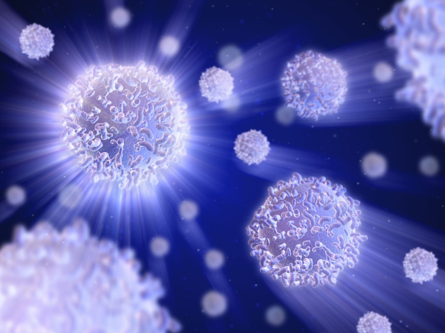 picture 5 white blood cells