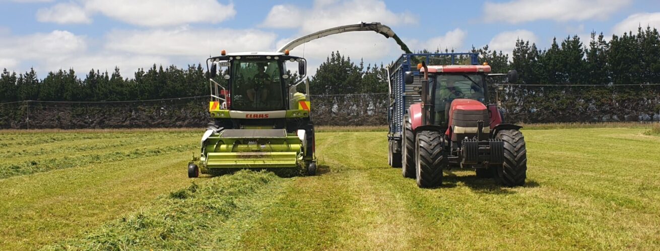 grass silage harvest manawatu 2