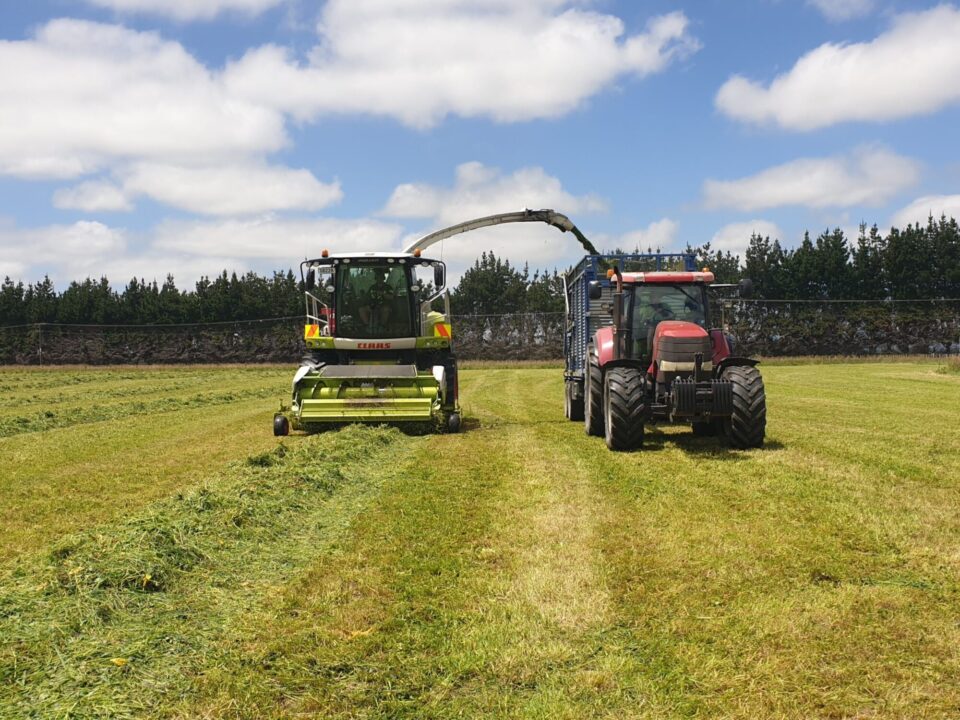 grass silage harvest manawatu 2