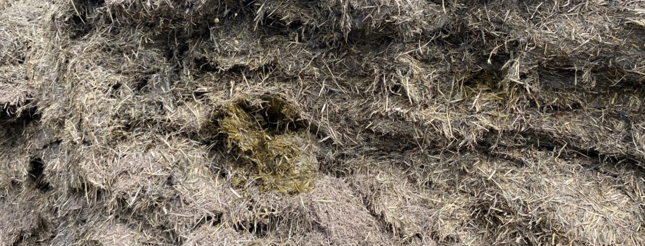 grass silage squeeze test