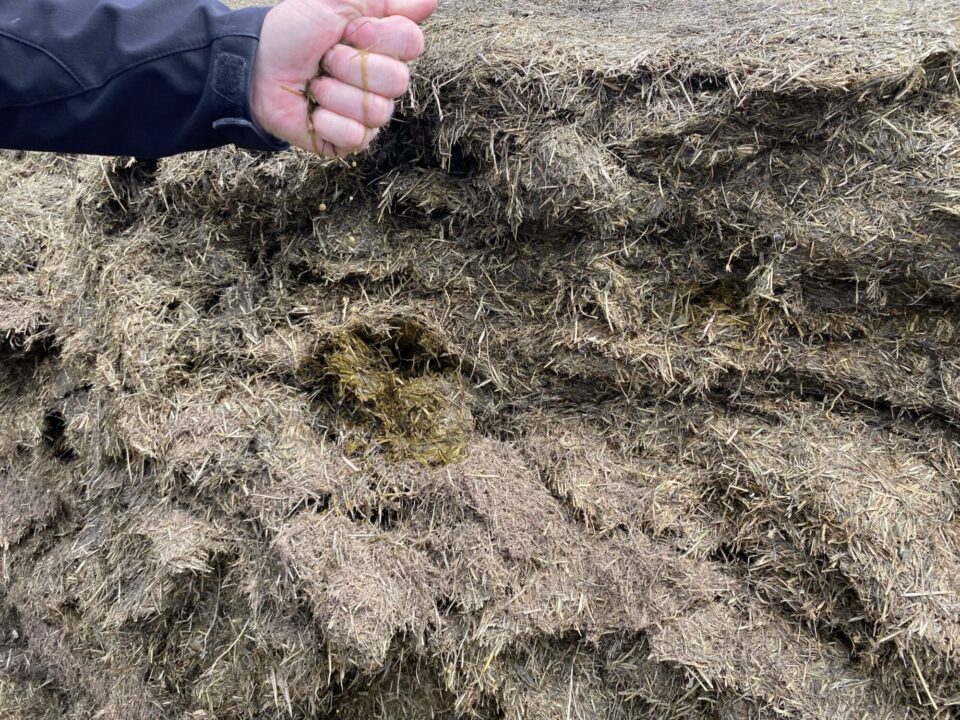 grass silage squeeze test