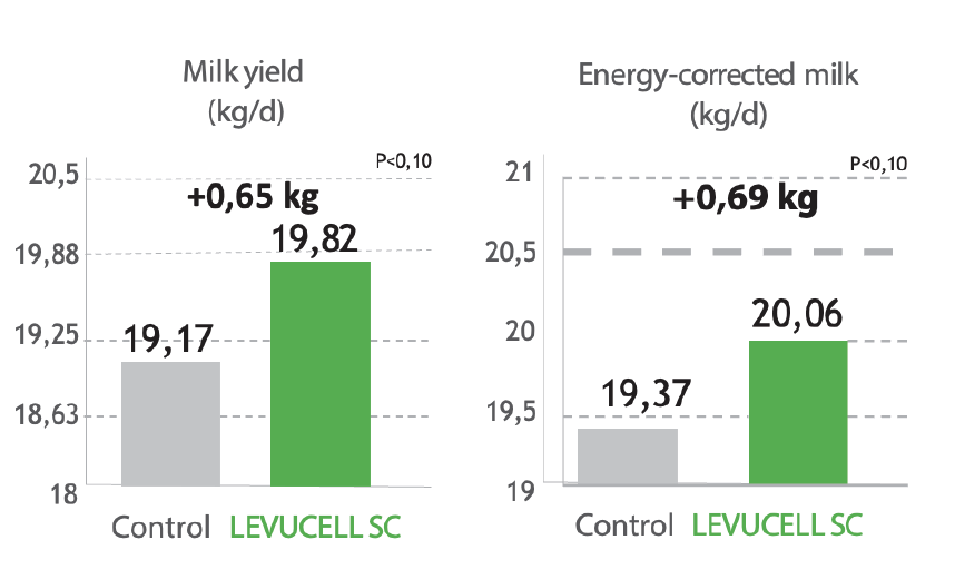 levucell2
