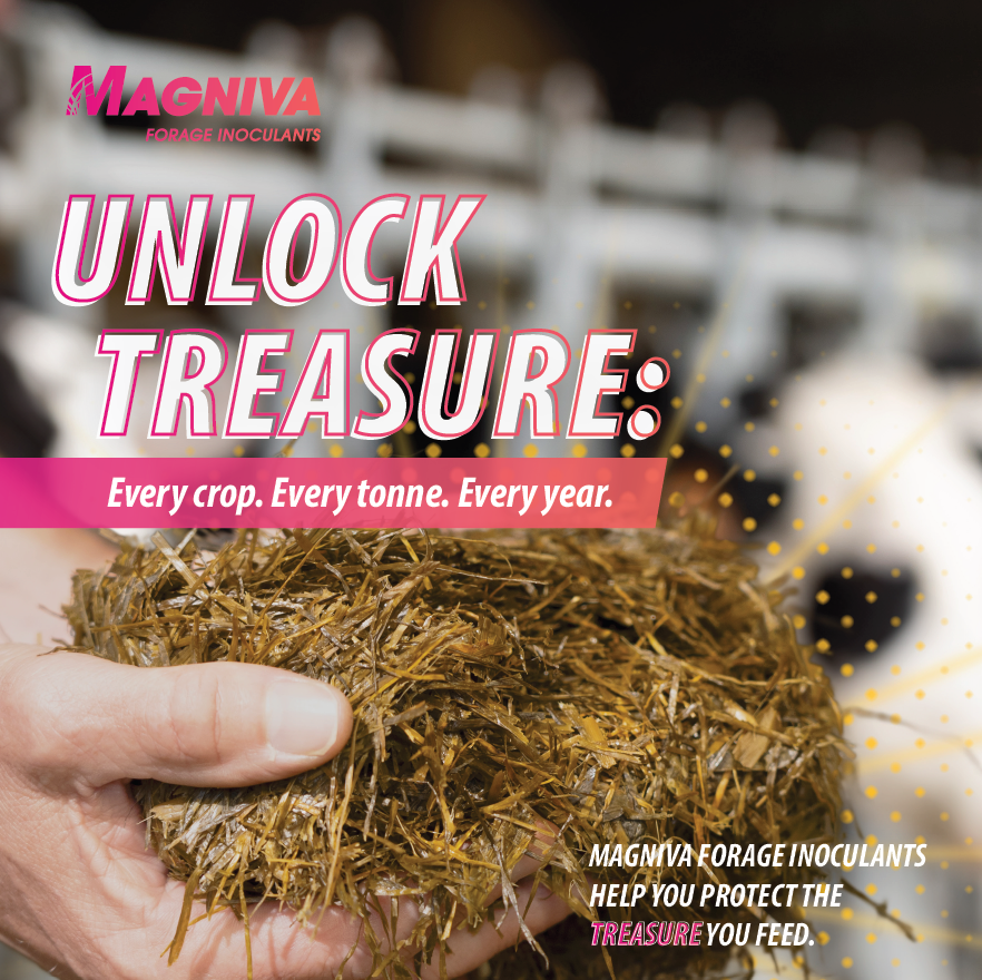 unlock treasure fb tile 2