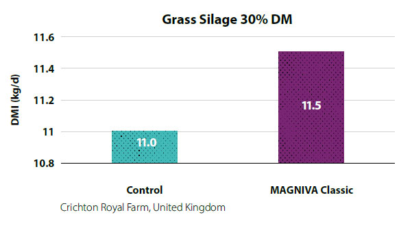 grass silage