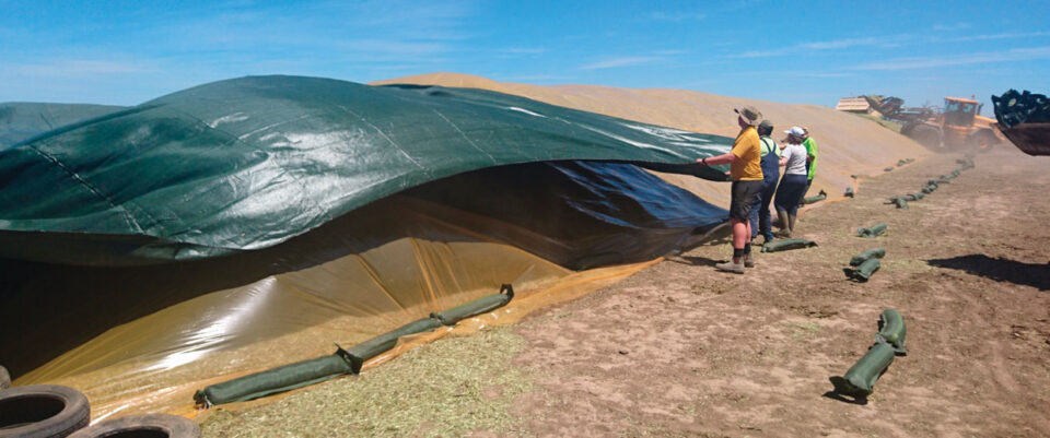 oxygen barrier
