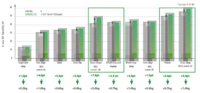 Summer Feeding Graph