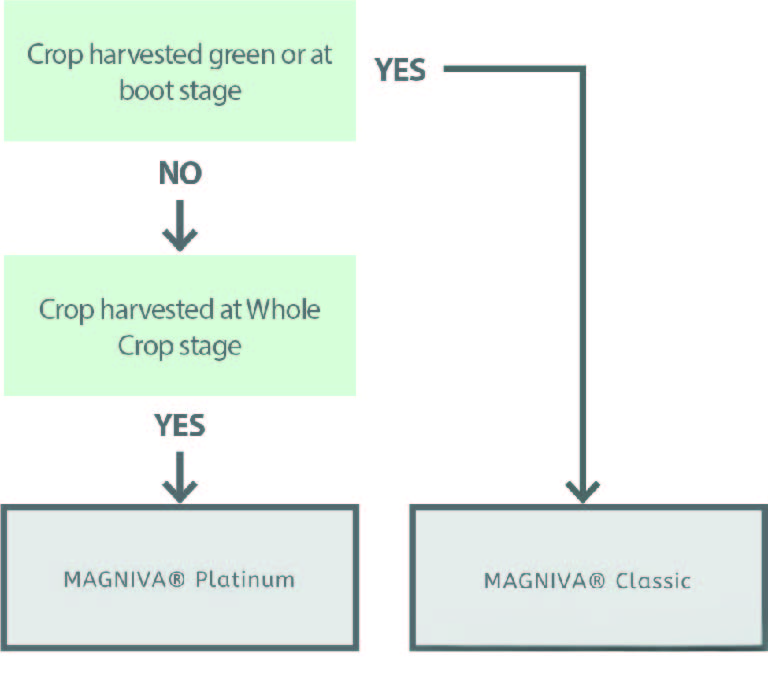 nn silage graph