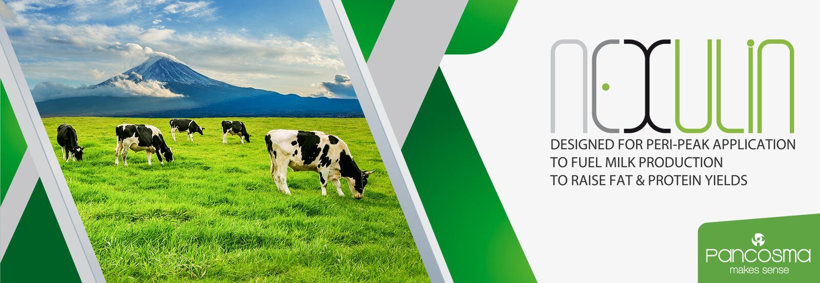 nexulin product