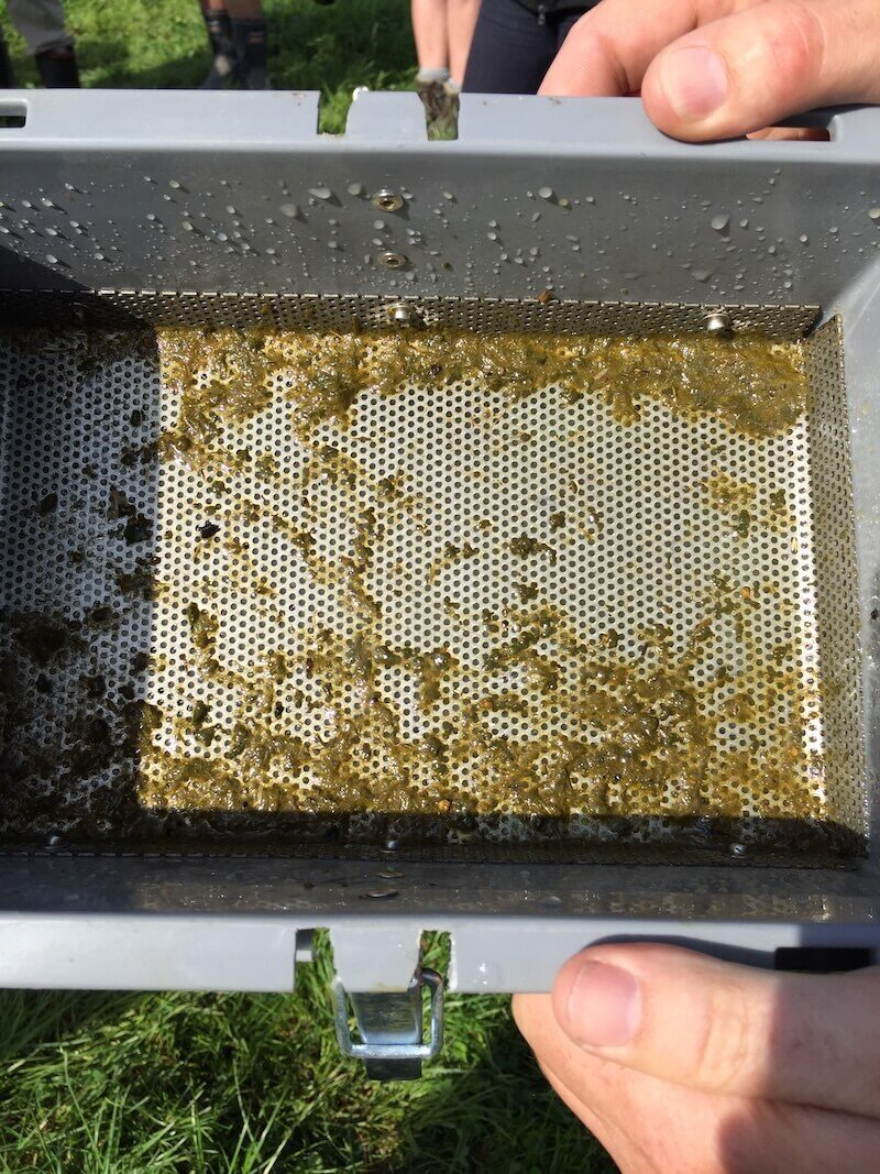 manure sieving nutrition support