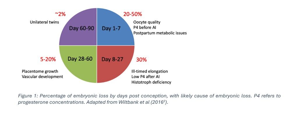 figure 1 bypass fats