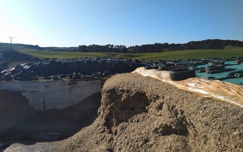 Silage That Performs
