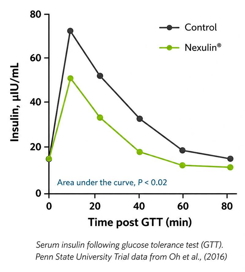 graph insulin