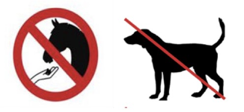 horse dog icon