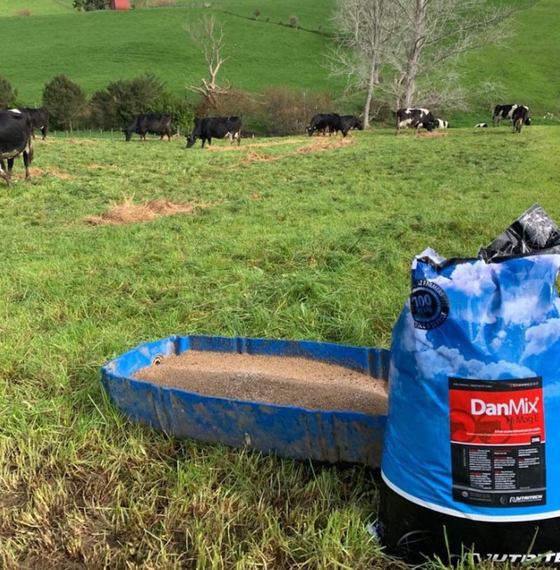 young stock during winter