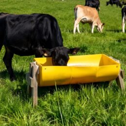 danmix cow trough