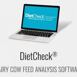 diet check