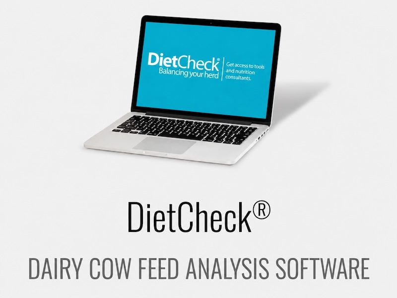 diet check