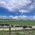nt mairoa dairies hero
