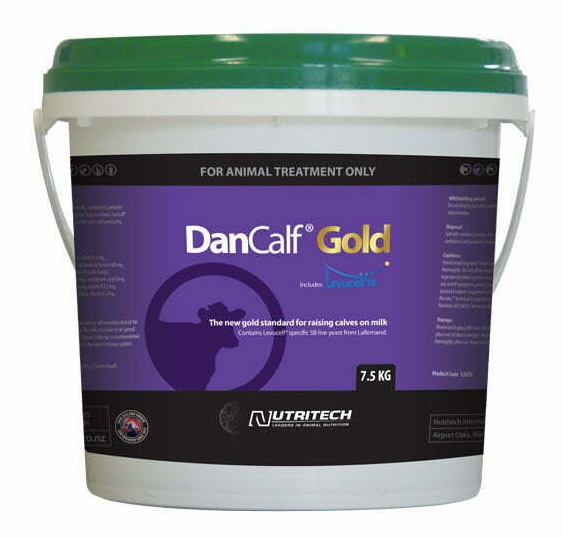 nt dancalf gold