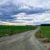 nt hannes